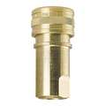 Foster Brass Socket, 3/4"x3/4"FPT H6B