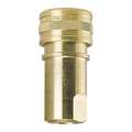 Foster Socket, Brass, w/Viton Seal, 1/8" H1B-101