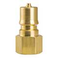 Foster Brass Plug, 1/8"x1/8"FPT K1B