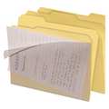 Find It File Folder, Clearview, Manila, PK8 FT07186