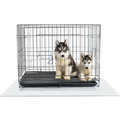 Floortex 35" x 47" Dog Crate Floor Protection Mat FCCAGE89ER