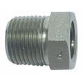 Parker Hydraulic Hose Adapter, 1.11" L, 6000 psi 1/2 X 3/8 PTR-SS