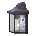 Acclaim Lighting Pocket Lantern, Black Coral, 1-Light 6001BC