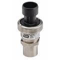 Johnson Controls Pressure Transducer, 304L SS, 0 to 100 psi P599AAPS101C
