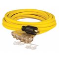 Champion Power Equipment Generator Power Cord, Cord 25 ft., Plastic 48036