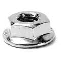 Foreverbolt Serrated Lock Nut, 3/8"-16, 316 Stainless Steel, Not Graded, NL-19, 11/32 in Ht, 25 PK FB3FHN3816P25