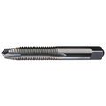 Widia Spiral Point Tap, #10-32, Plug, UNC, 2 Flutes, Uncoated 13255