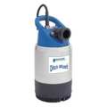 Goulds Water Technology Dewatering Pump, 1 HP, 115V, 9.8A 2DW1011
