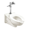 American Standard AfWal Milnium 1.11.6GPF ElongBwlWh, 1.1 to 1.6 gpf, Flushometer, Wall Mount, Elongated, White 2257.101.020