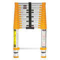 Xtend + Climb Aluminum Telescoping Extension Ladder, 250 lb Load Capacity 770P+