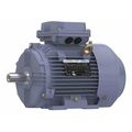 Marathon Motors Metric Motor, 2 HP, 1,175 RPM, 230/460V TCA1P53AE211GAA009