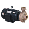 Dayton Centrifugal Pump, 3 Ph, 230/460VAC 55JJ53