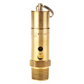 Conrader Air Safety Valve, 1/2" (M) NPT Inlet SRH375-200 SST