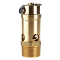 Conrader Air Safety Valve, 1-1/4" (M) NPT Inlet SRV765-114-150 SST