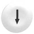 Schneider Electric Push Button Head, Marked, 22mm, White ZBA7134