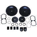 Sandpiper Wet End Kit, Fits Brand Sandpiper 476.354.360