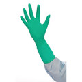 Bioclean Disposable Gloves Nitrile Powder Free Green 7-1/2 200 PK BENS