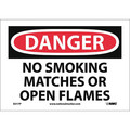 Nmc Danger No Smoking Matches Or Open Flames Sign, D217P D217P