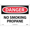 Nmc Danger No Smoking Propane Sign, D590AB D590AB