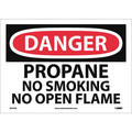 Nmc Danger Propane No Smoking No Open Flame Sign, D397PB D397PB