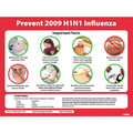Nmc H1N1 Virus Poster PST114