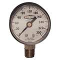 Dixon ABS Dry Gauge, 1/4", 0-100psi, 2.5", Face GL330