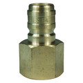 Dixon E-Series Female NPT, 3/8", Plug, 3/8", BR E3F3-B