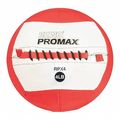 Champion Sports Rhino Promax Slam Workout Ball, 14", 4lb RPX4