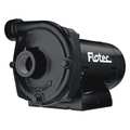 Flotec Centrifugal Pump, 1/2HP FP5512