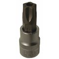 Cta Manufacturing 1/4" Drive, T27 SAE Socket, 5 Points 9686