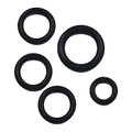 A.R. North America O-Ring, Kit PW909104K