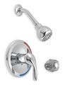 Trident wall, Shower Head Kit, Wall 6PB34