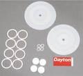 Dayton Pump Repair Kit, Fluid 6PY62