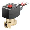 Redhat 120V AC Brass Solenoid Valve, Normally Closed, 1/4 in Pipe Size EF8262H022
