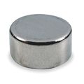 Zoro Select Disc Magnet, Neodymium, 7 lb. Pull 6YA39