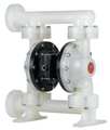 Aro Double Diaphragm Pump, Polypropylene, Air Operated, PTFE, 123 GPM PD15P-FPS-PTT