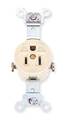 Hubbell Receptacle, 15 A Amps, 125V AC, Flush Mount, Single Outlet, 5-15R, Ivory HBL5251I