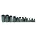 Sk Professional Tools 1/4 in, 3/8 in, 1/2 in Drive Socket Set SAE 13 Pieces E4 to E24 , Rust Preventative 19861