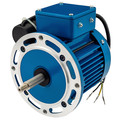 American Stainless Pumps Motor, 1 HP, 3,420 rpm, 56J, 115/230V M1.0T11G-JH1