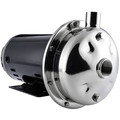 American Stainless Pumps Centrifugal Pump, 230VAC, SS D3701045D2F
