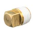 Zoro Select Brass Square Head Plug, Male NPT ZUSA-PF-10711