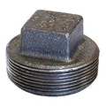 Anvil 1/4", Cast Iron Hex Head Plug 0318903564