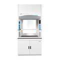 Protector Echo Filtered Fume Hood, 115V, 66.20x48 181410200