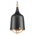 Progress Lighting Era One-Light Pendant, Black P500033-031