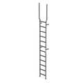 Ega Vertical Ladder, 12 Rungs, With Handrail Extensions, 15'3" Overall Height, 16"W Steps MVMS12EX