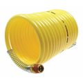 Coilhose Pneumatics Nylon Coil 3/8" ID x 50' 3/8" MPT Swivel CO N38-50B