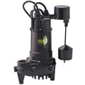 Eco-Flo Cast Iron Sump Pump, Vrtical Switch 1/2HP ECD50V