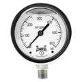 Winters Filled Ss/Ss Gauge 2.5" 1/4Lm 600 psi PFP828R1