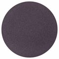 Norton Abrasives Sanding Disc, Aluminum Oxide, 10" dia 66261136600