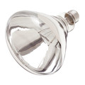Satco 250 W R40 Incandescent - Clear Heat - 6000 Hours - Medium Base - 120V - Shatter Proof S4885